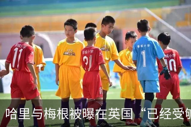 哈里与梅根被曝在英国“已经受够了”，坦言想念美国加州的“家”